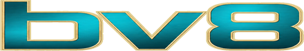 BV8 Logo